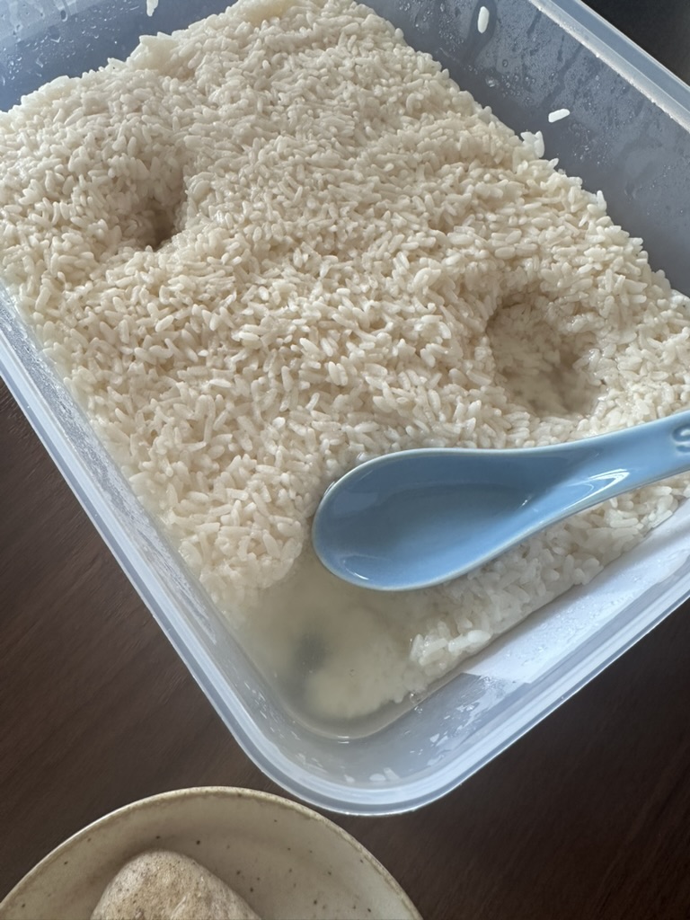 酒酿成品